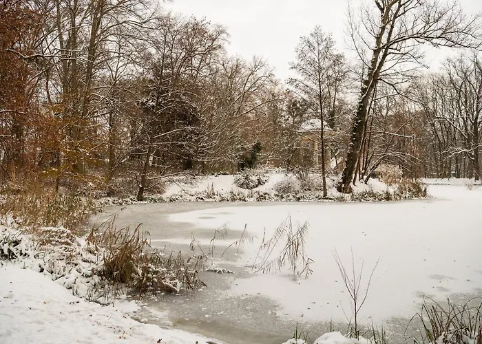Centrum Edukacyjno-rozwojowe Pawlowice - Bezplatny Parking Bed & Breakfast